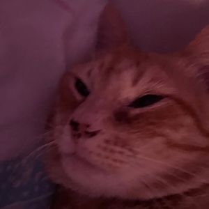 Meet your Posher, Kait